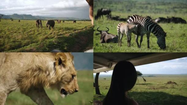 原始求生记：极致非洲野生动物园
